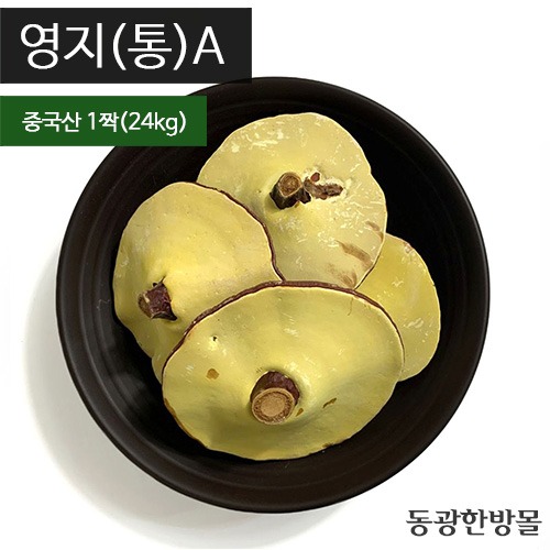영지버섯통A/중국산 24kg(짝)