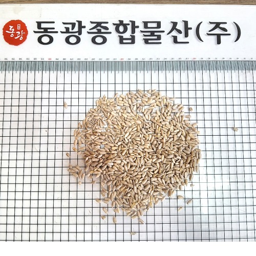 해바라기씨/중국산 10kg(짝)